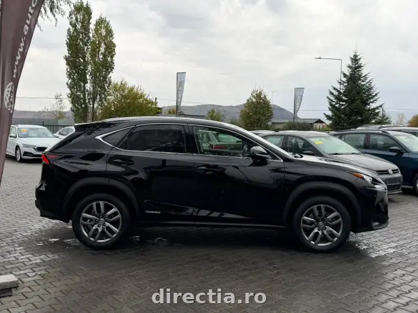 Poza anunț 5