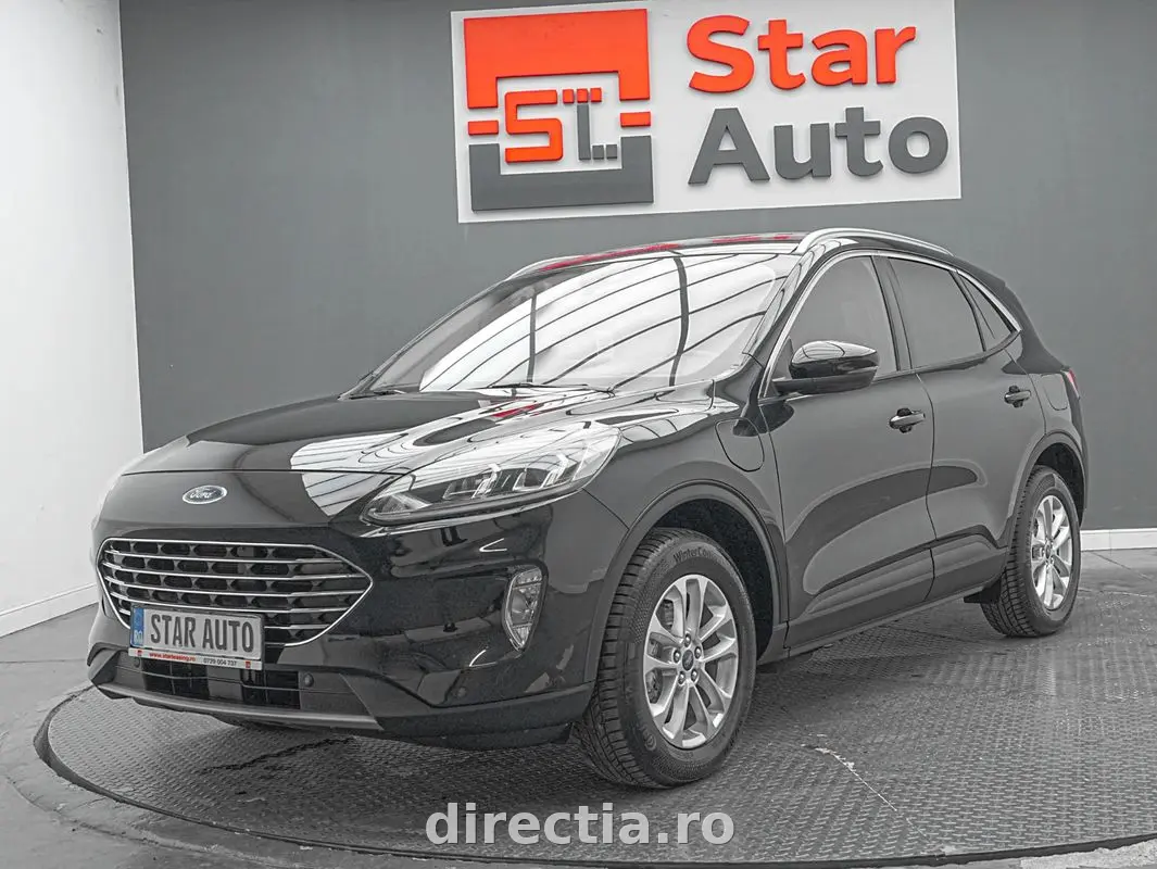 Poza principală