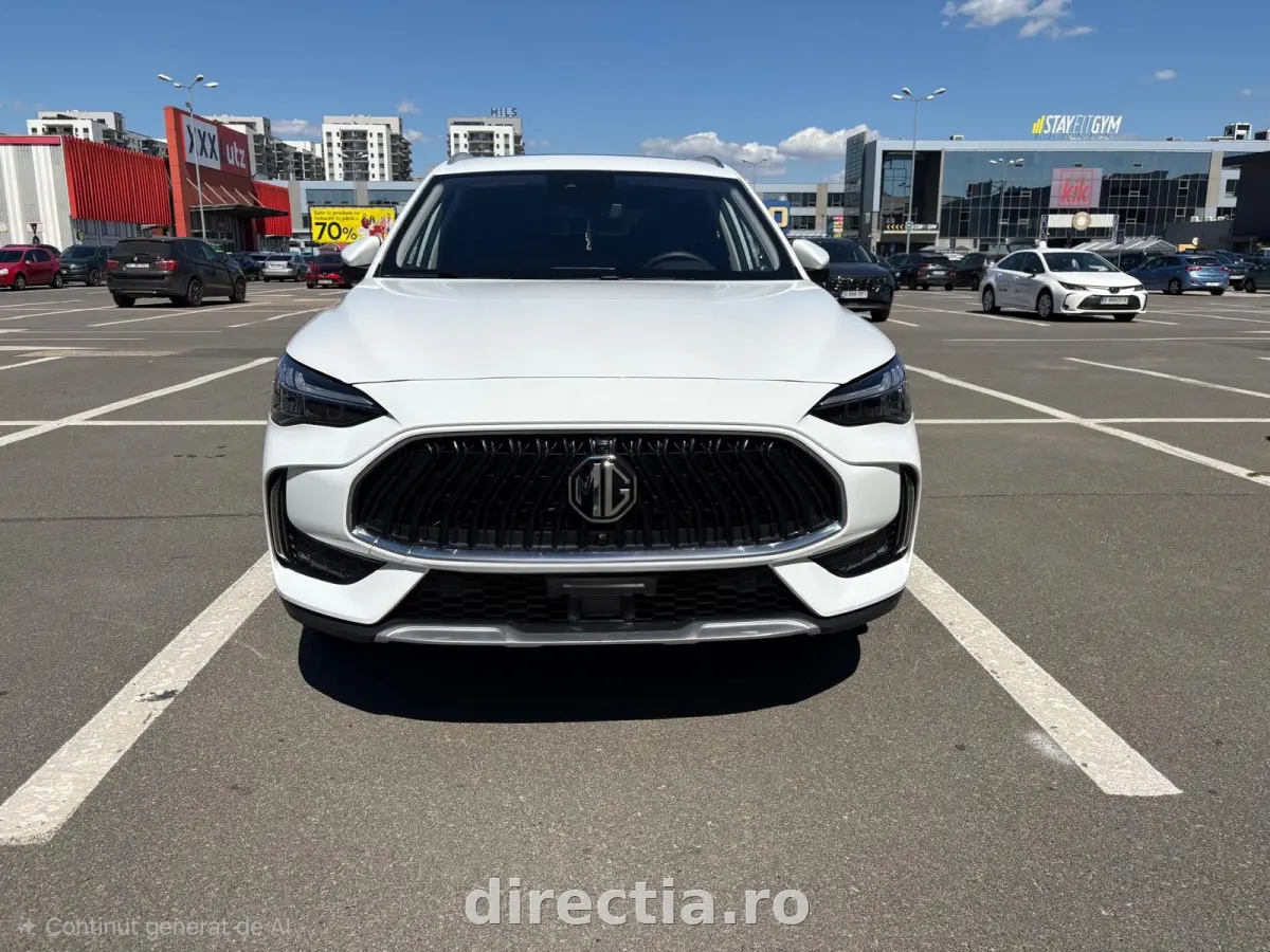 Poza principală