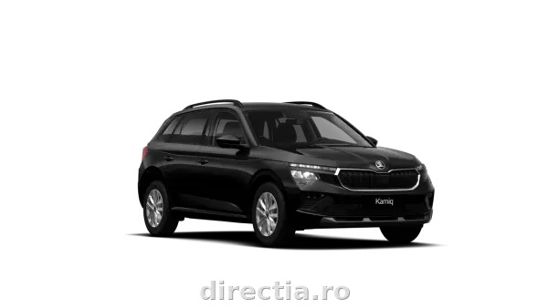 Poza anunț 1