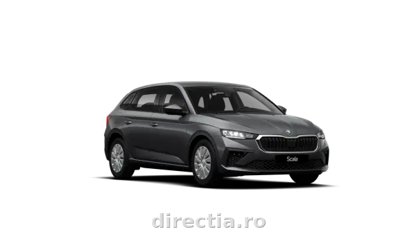 Poza anunț 1