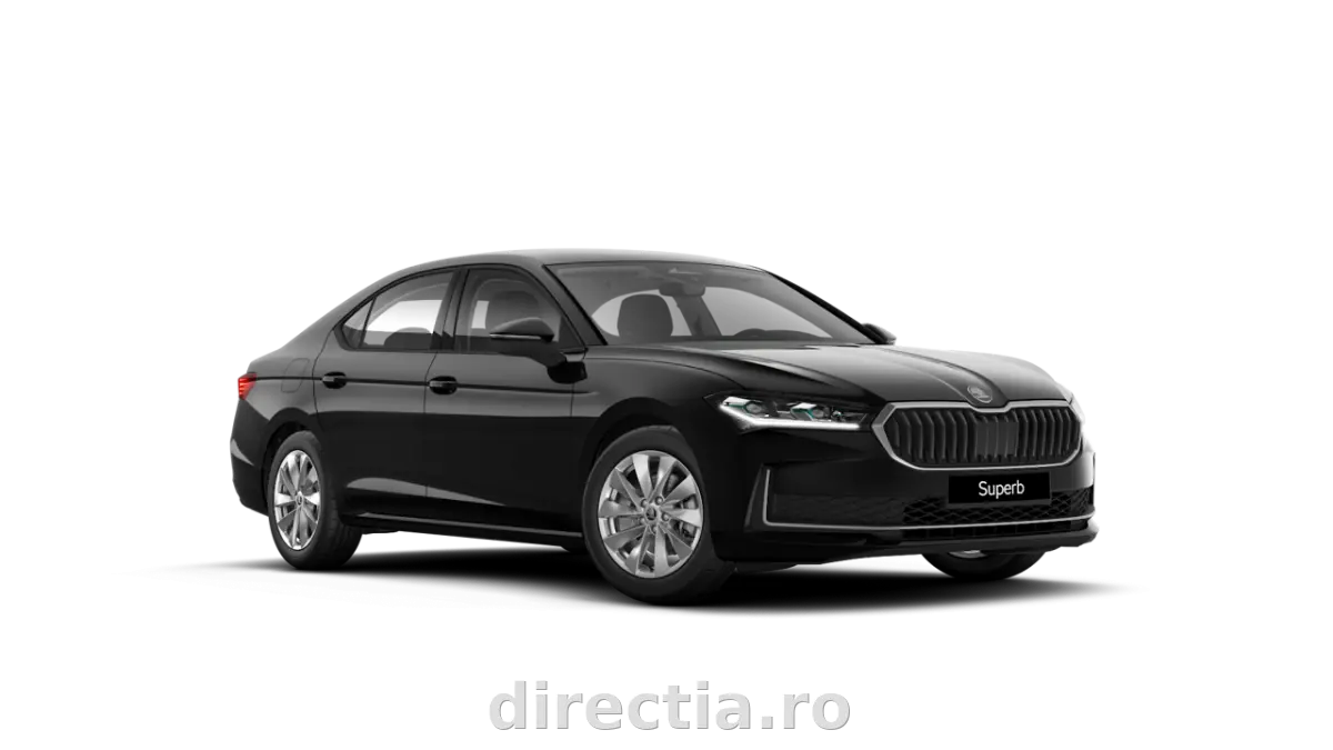 Poza principală