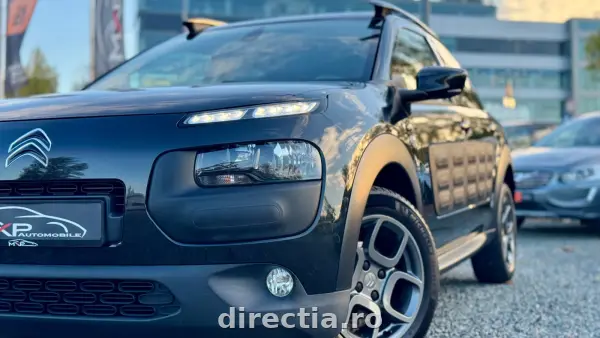 Poza anunț 13