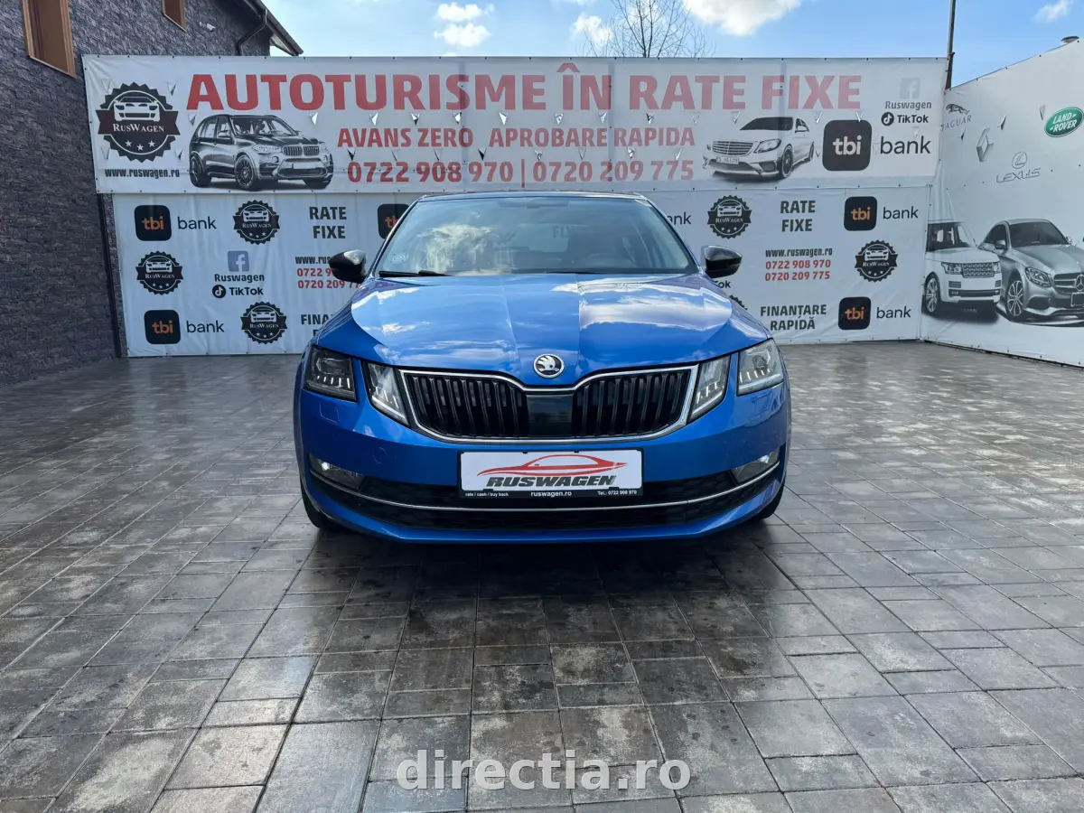 Poza principală