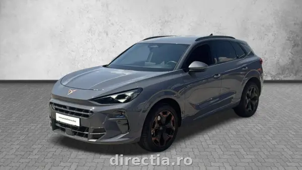 Poza anunț 1