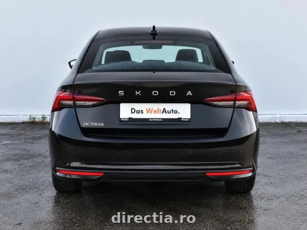 Poza anunț 10