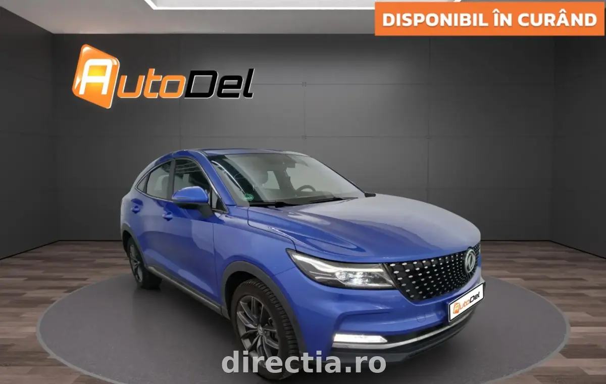 Poza principală