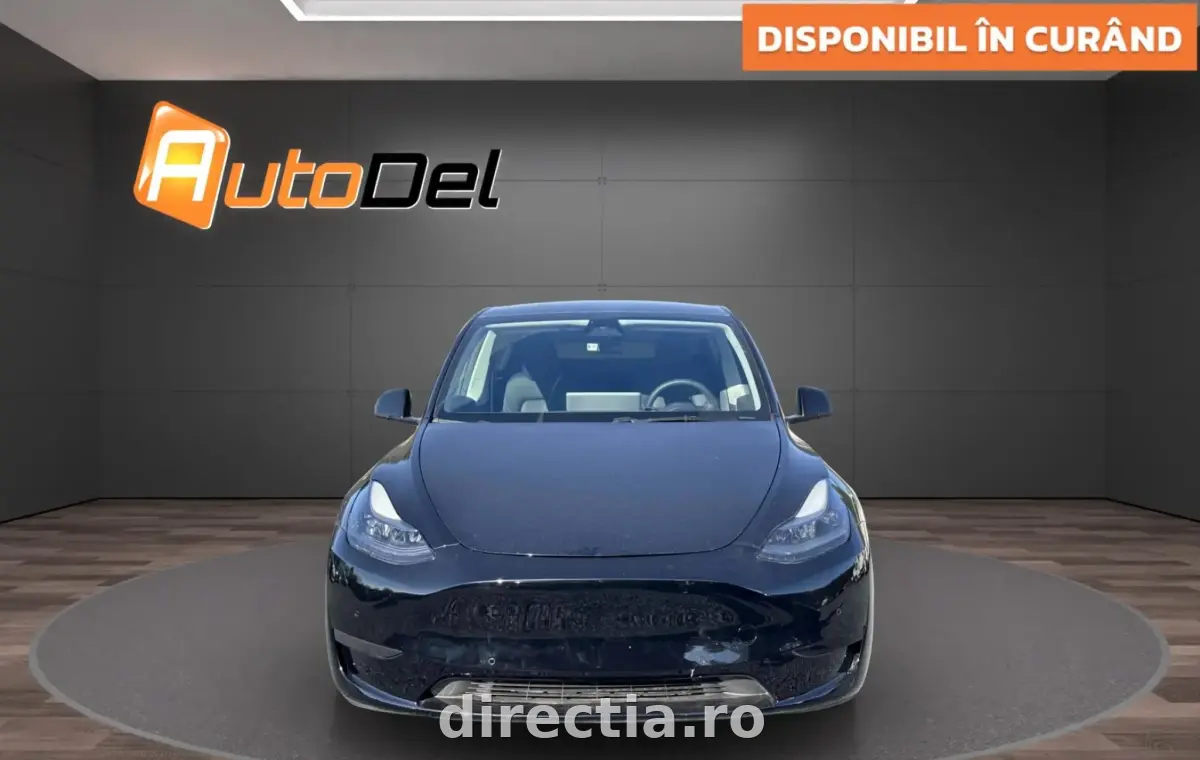 Poza principală