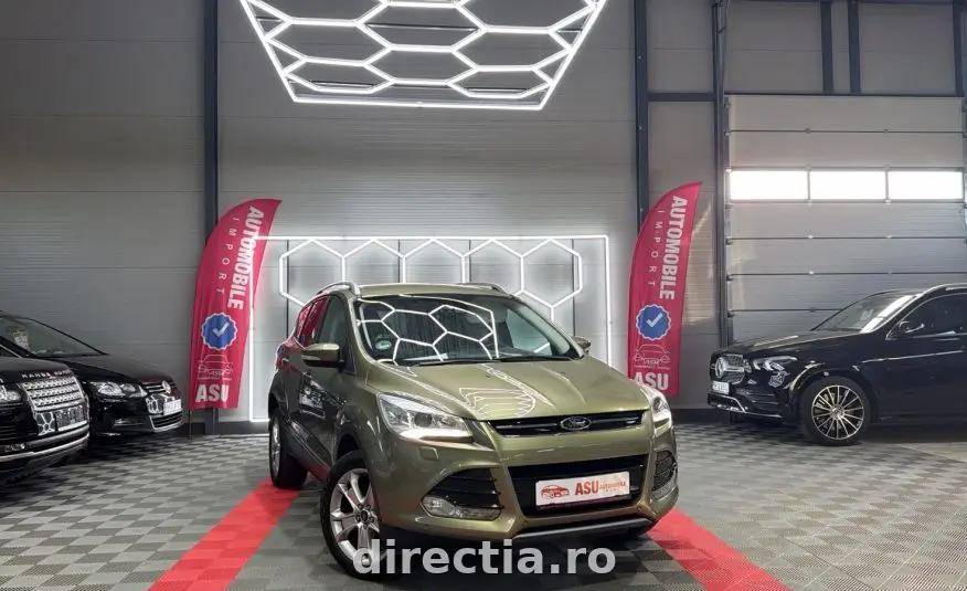 Poza principală