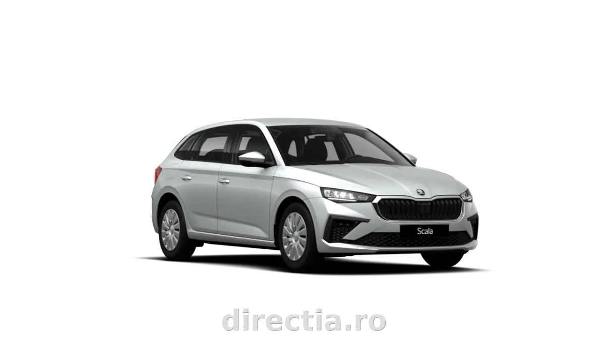 Poza principală