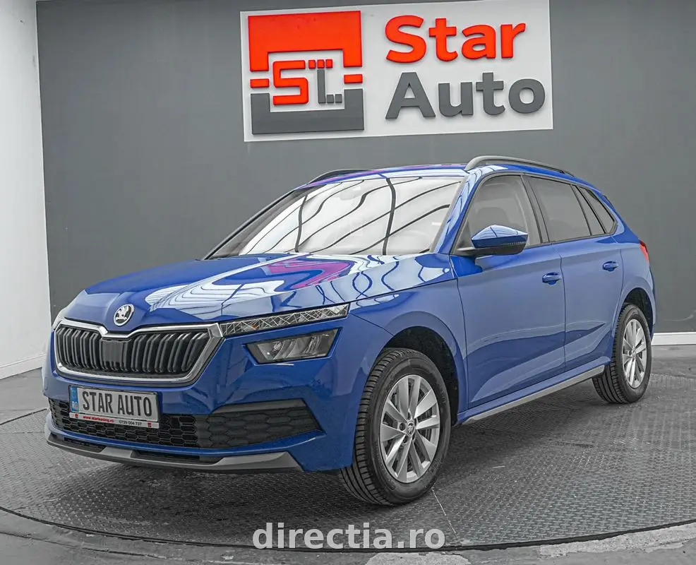 Poza principală