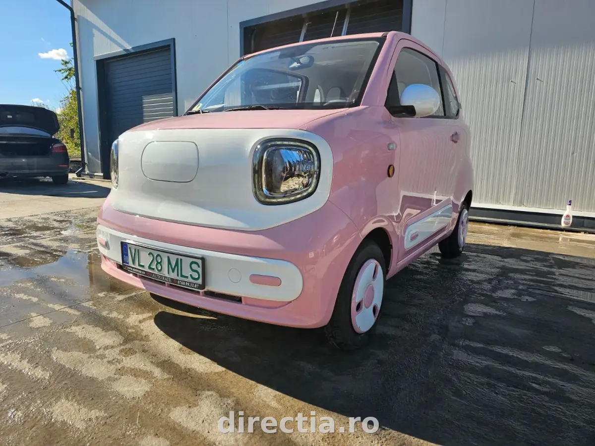 Poza principală