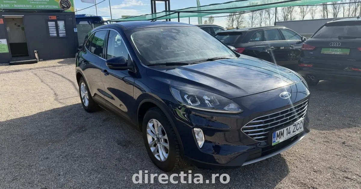 Poza principală