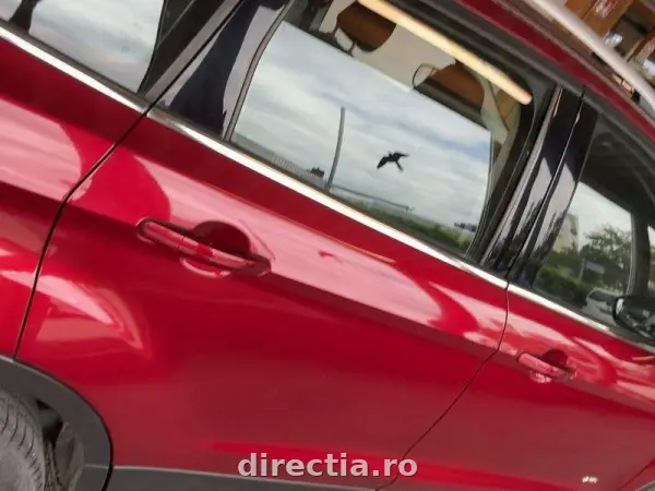 Poza anunț 7