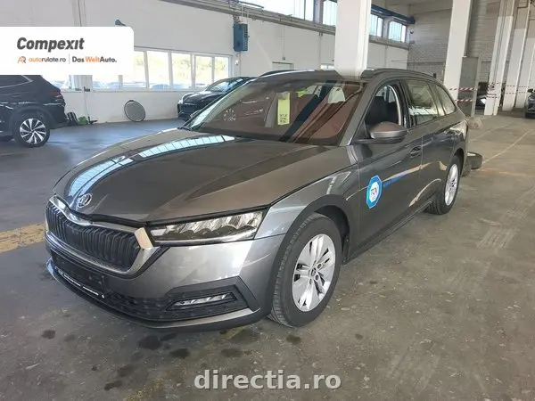 Poza principală