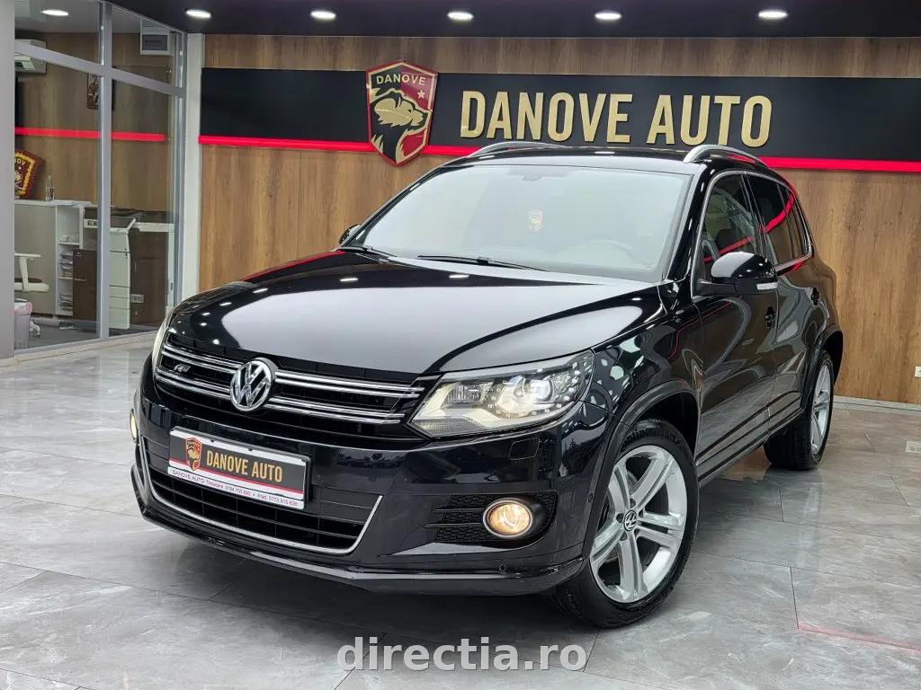 Poza principală