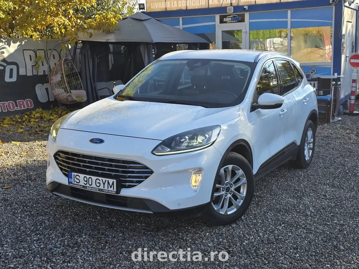 Poza principală