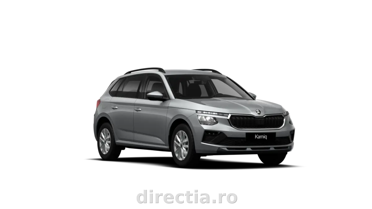 Poza principală