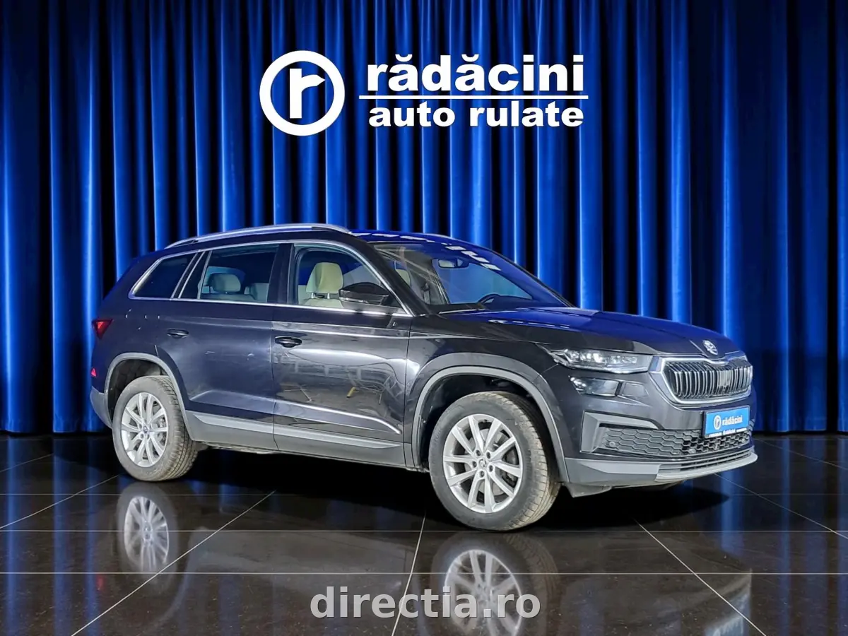 Poza principală