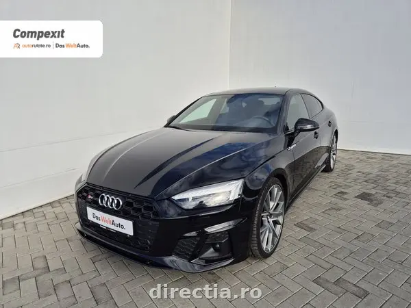 Poza principală