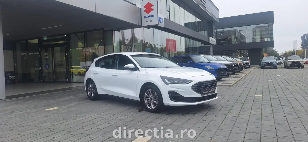 Poza principală