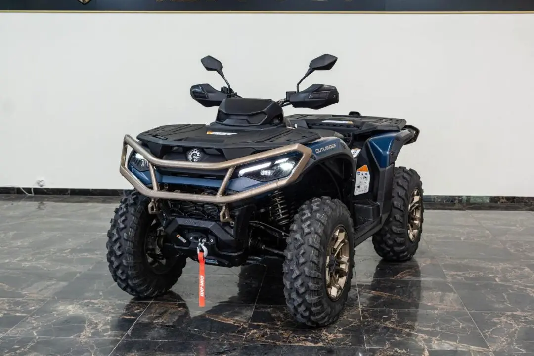 Poza principală