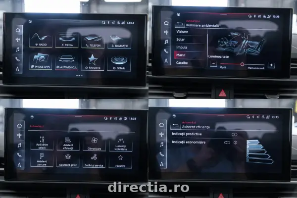 Poza anunț 12