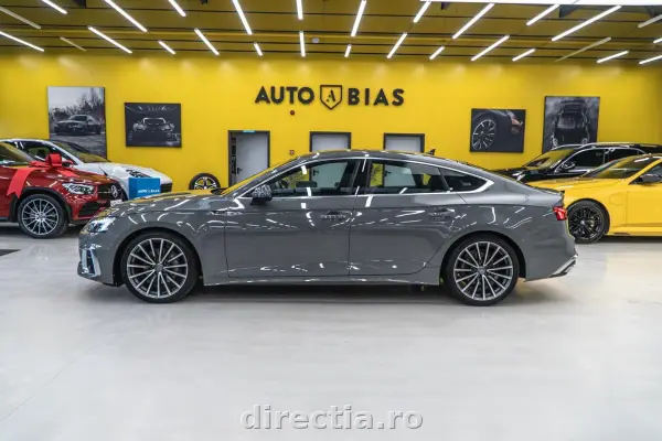 Poza anunț 16