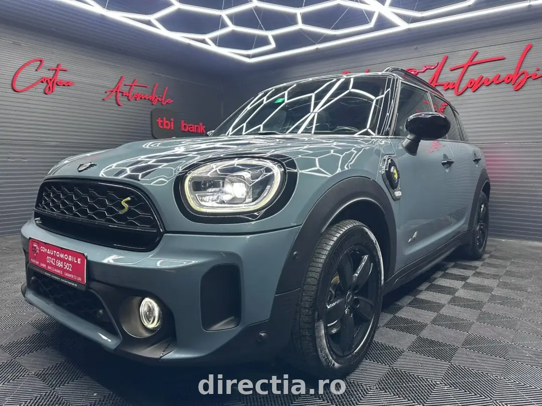 Poza principală