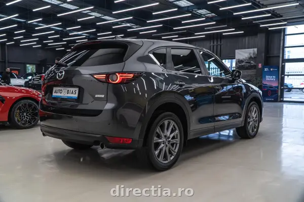 Poza anunț 7