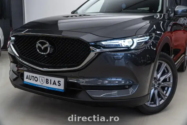 Poza anunț 10