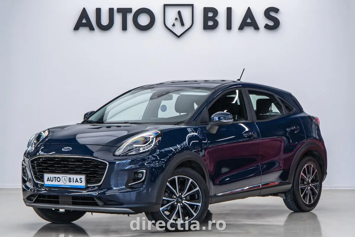 Poza principală