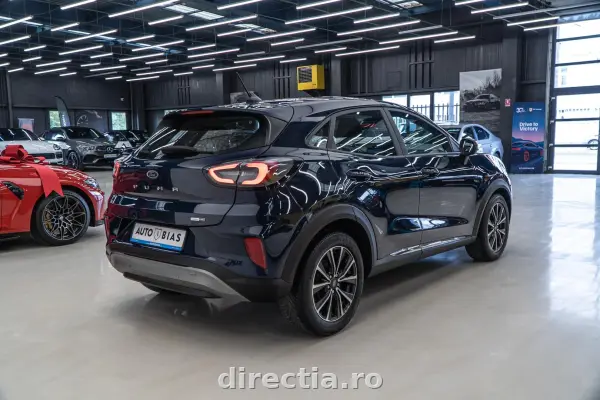 Poza anunț 7