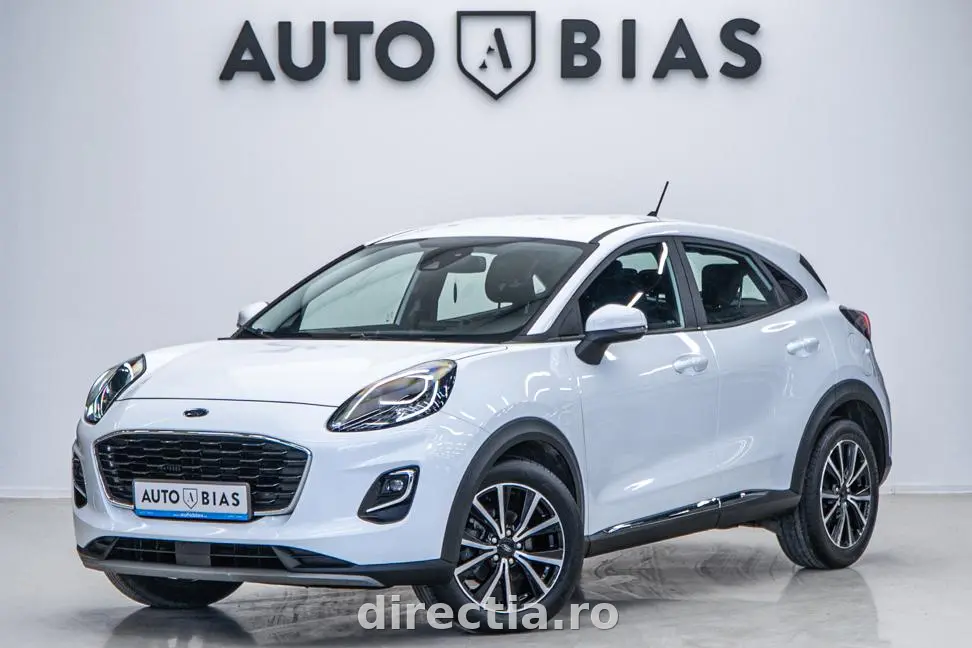 Poza principală