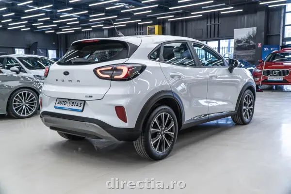 Poza anunț 7