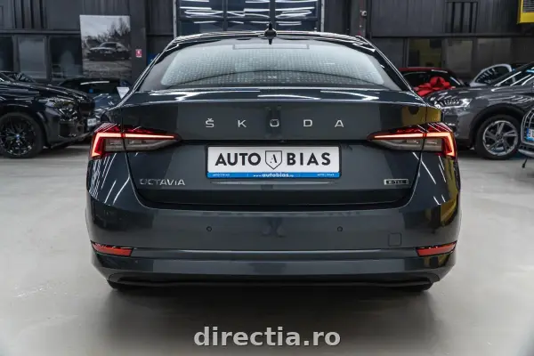 Poza anunț 25