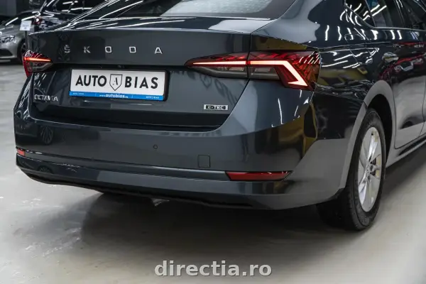 Poza anunț 13