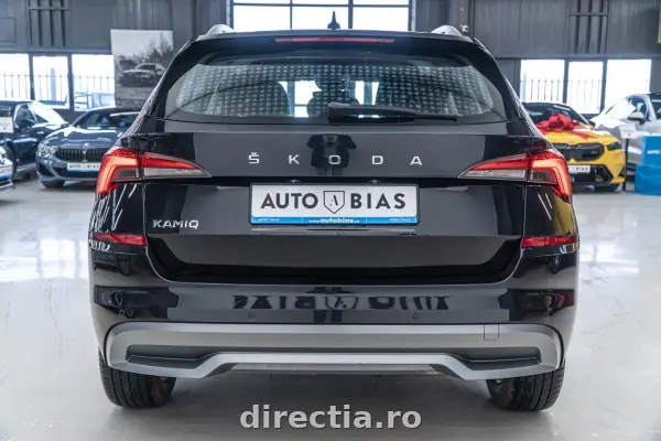 Poza anunț 25
