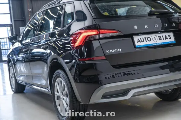 Poza anunț 31
