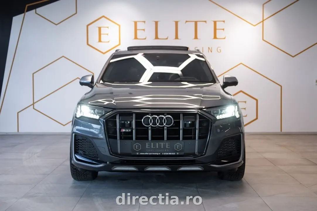 Poza principală