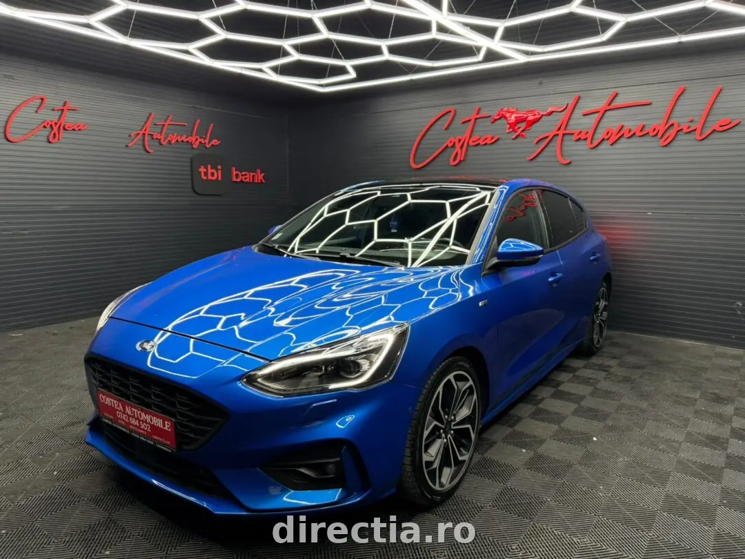 Poza principală