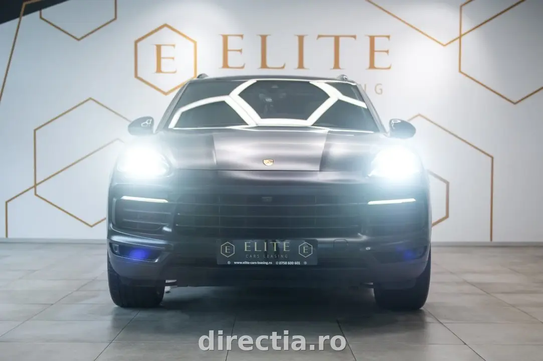 Poza principală