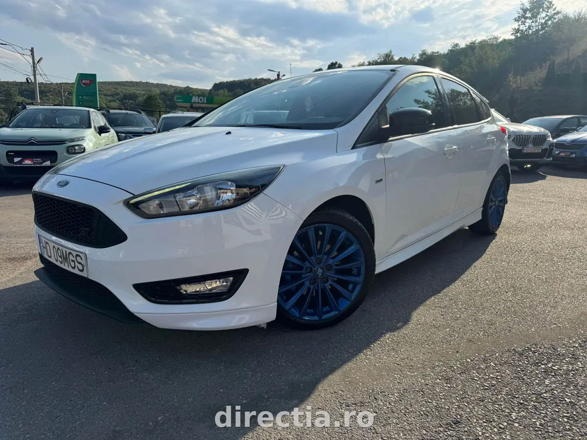 Poza principală