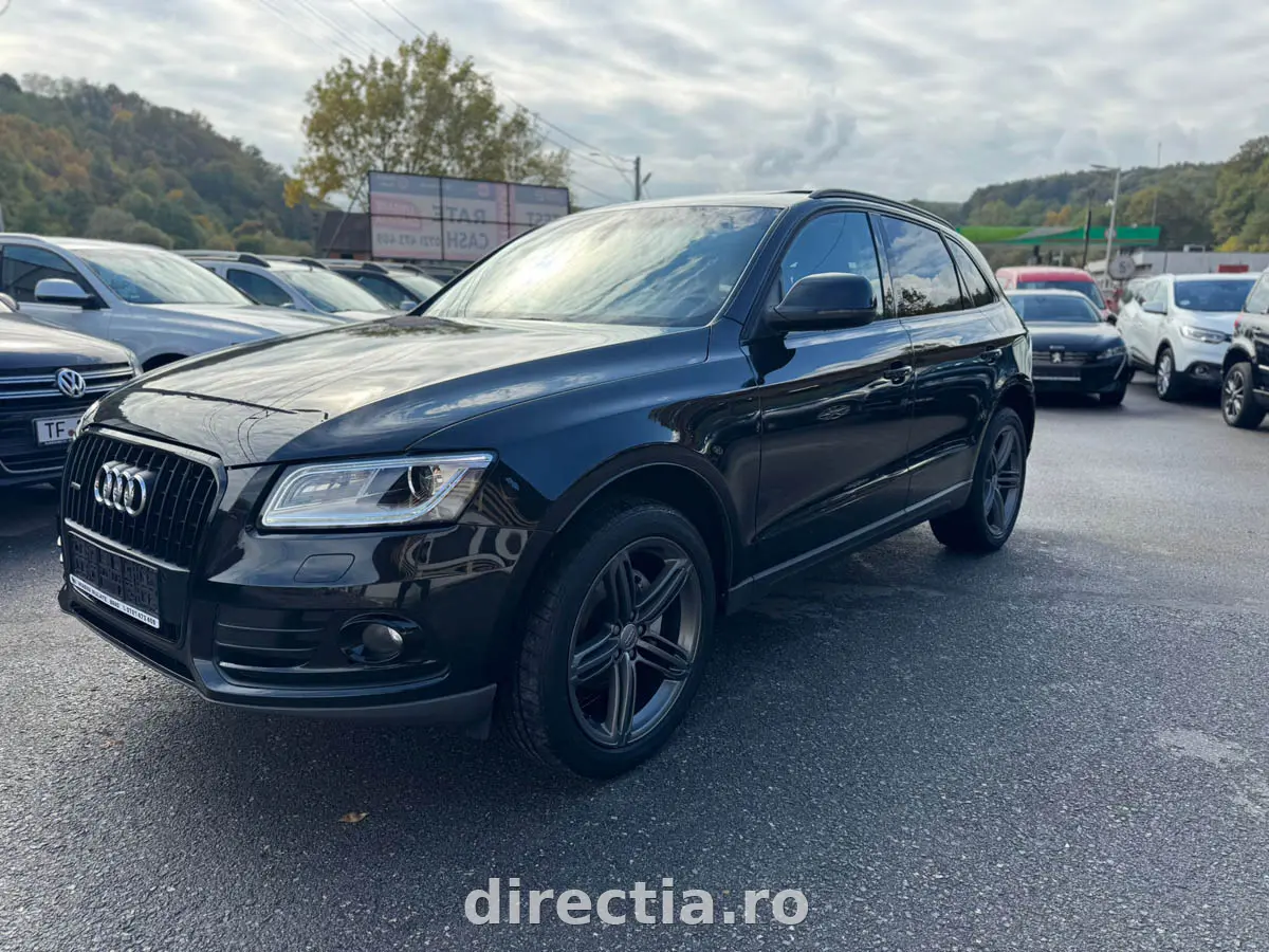 Poza principală