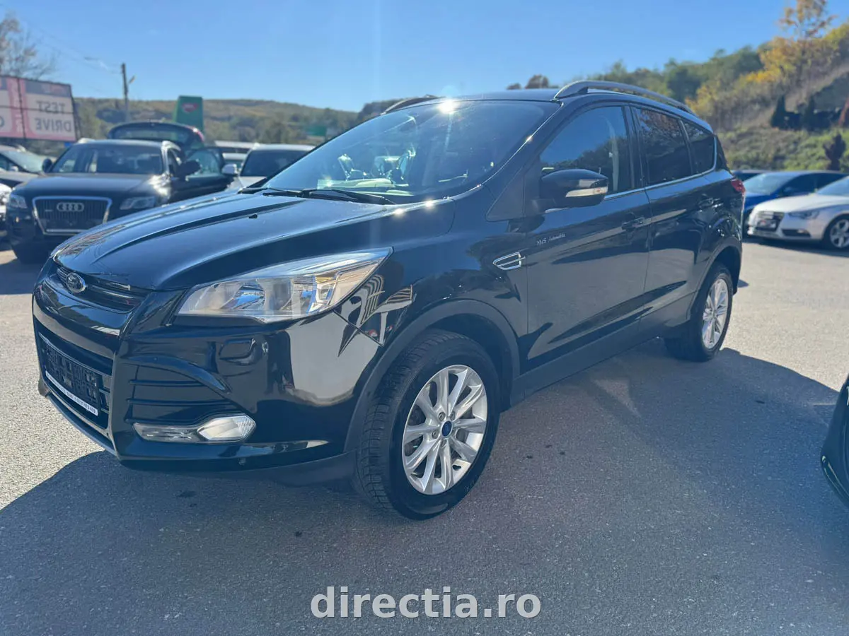 Poza principală