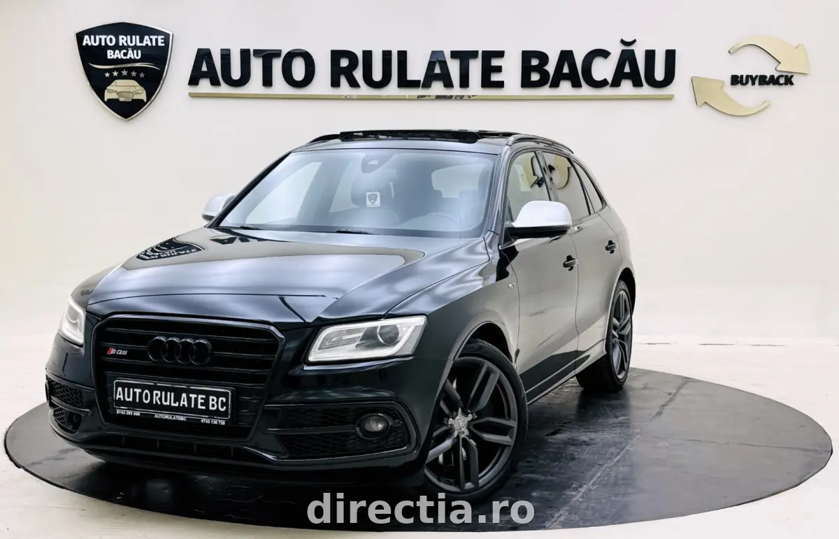 Poza principală