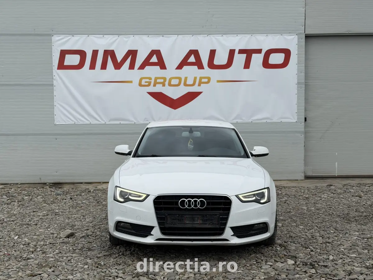 Poza principală