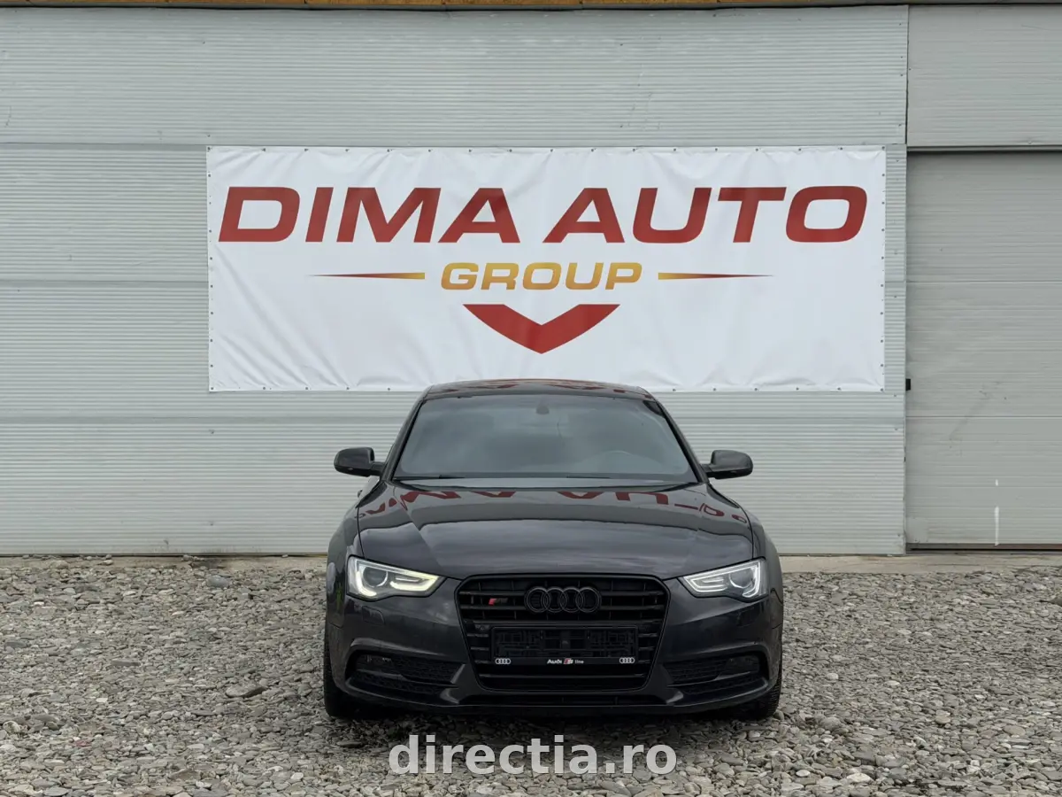 Poza principală