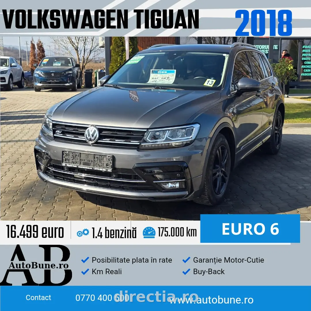 Poza principală