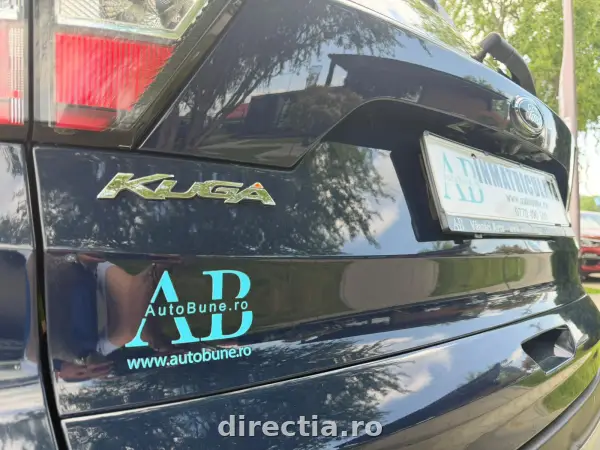 Poza anunț 8